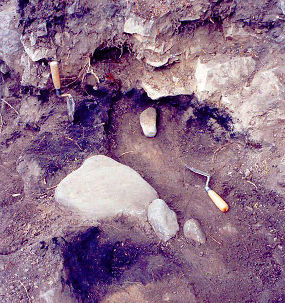 Dozer Rock site